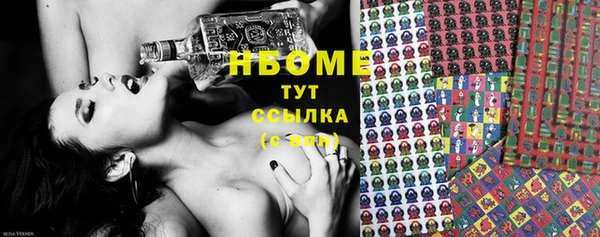 прущие грибы Саяногорск