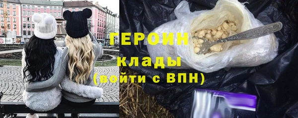прущие грибы Саяногорск