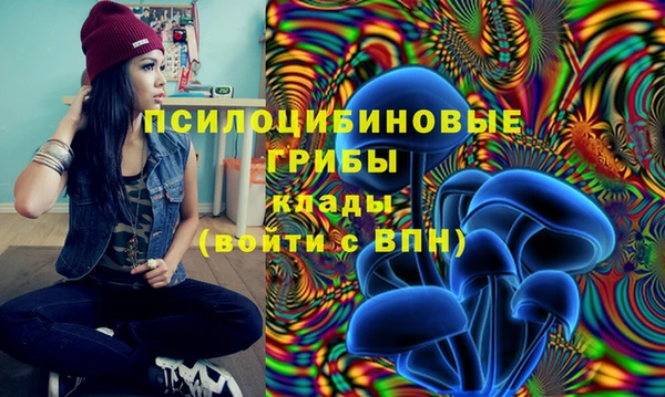 прущая мука Арсеньев