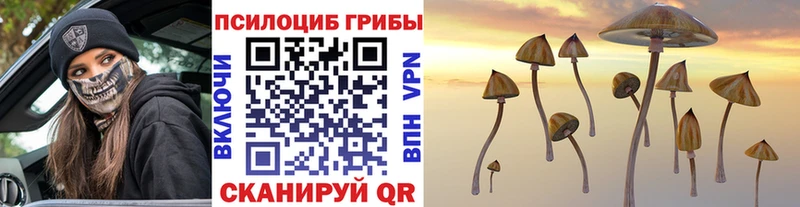 Галлюциногенные грибы Psilocybine cubensis маркетплейс какой сайт Чаплыгин